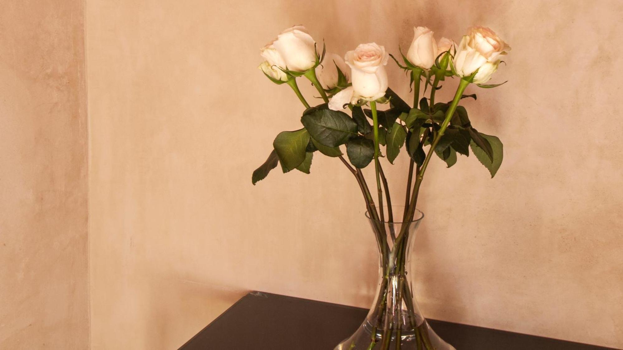 Rosas & Xocolate Boutique Hotel And Spa Merida, A Member Of Design Hotels Exterior foto